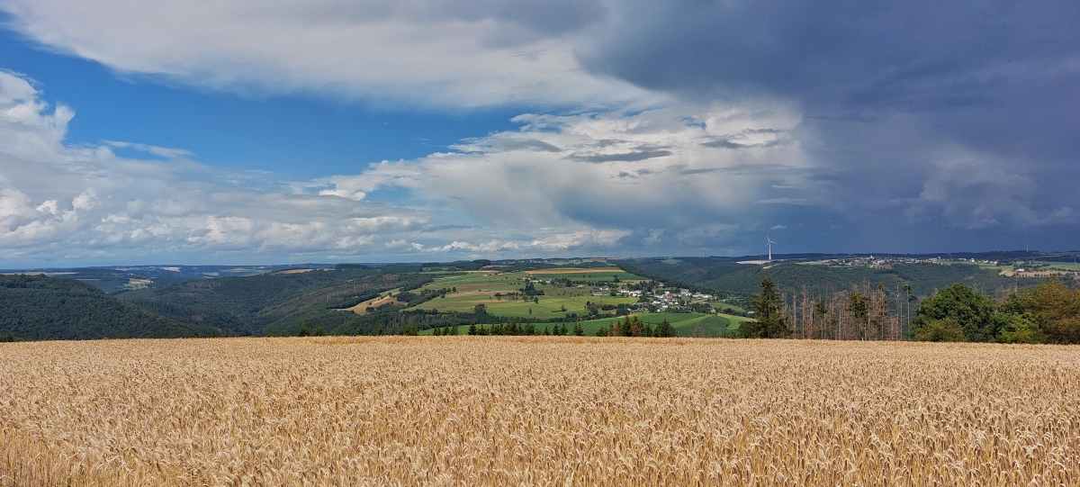 Auf dem weg von Bourscheid in Richtung Goebelsmühle (L), machte ich halt um das Wolkenspiel am Himmel im Bild fest zu halten. 21.07.2025 (Jeanny)