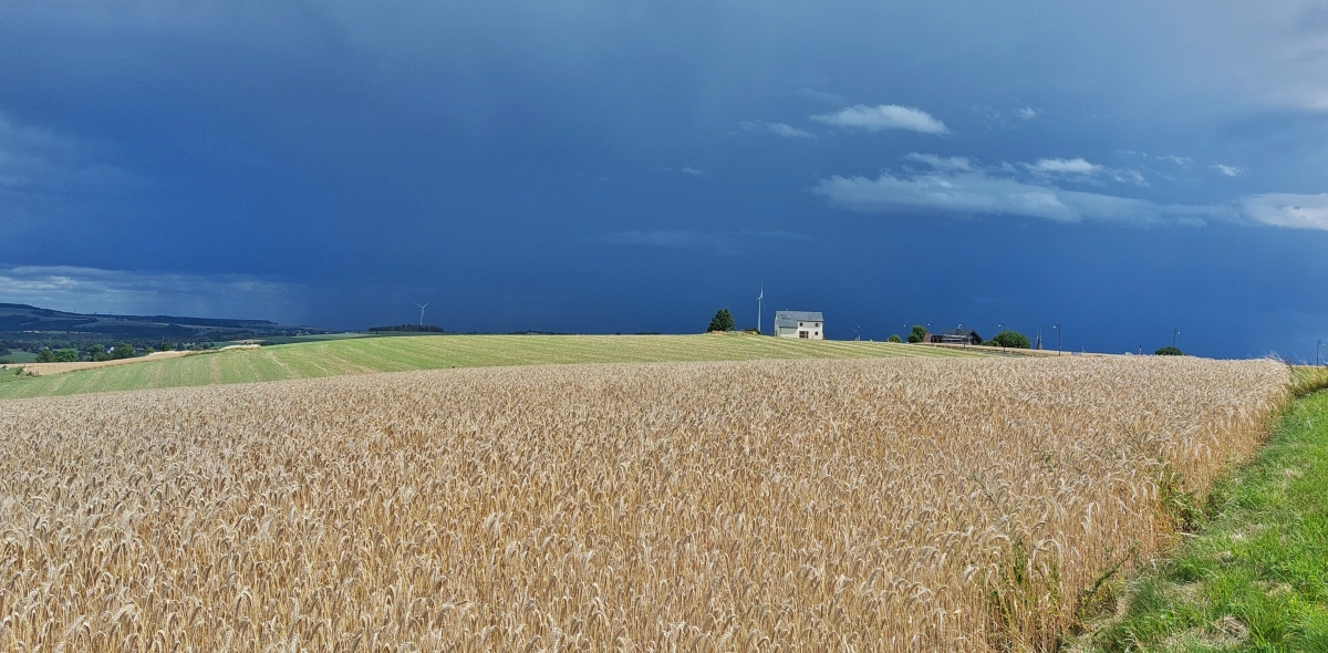 Auf dem weg von Bourscheid in Richtung Goebelsmühle (L) machte ich halt um die Gewitterfront aus Richtung Süden im Bild fest zu halten. 21.07.2025 (Jeanny)