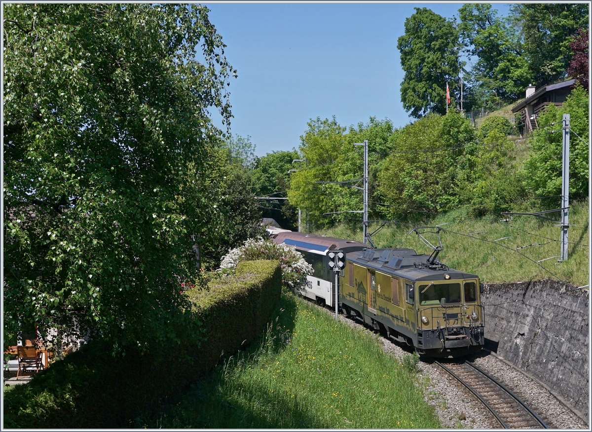 Auf dem Weg nach Monteux ist die MOB GDe 4/4 6003 mit ihrem Panoramic Express bei Sonzier. 

7. Mai 2020