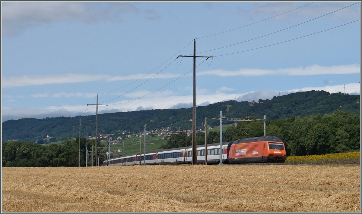 Auf Flughöhe  null : die  easy jet  Re 460 063-1 mit dem IR 1717 von Genève Aéroport nach Brig zwischen Perroy und Allaman.
8. Juli 2015