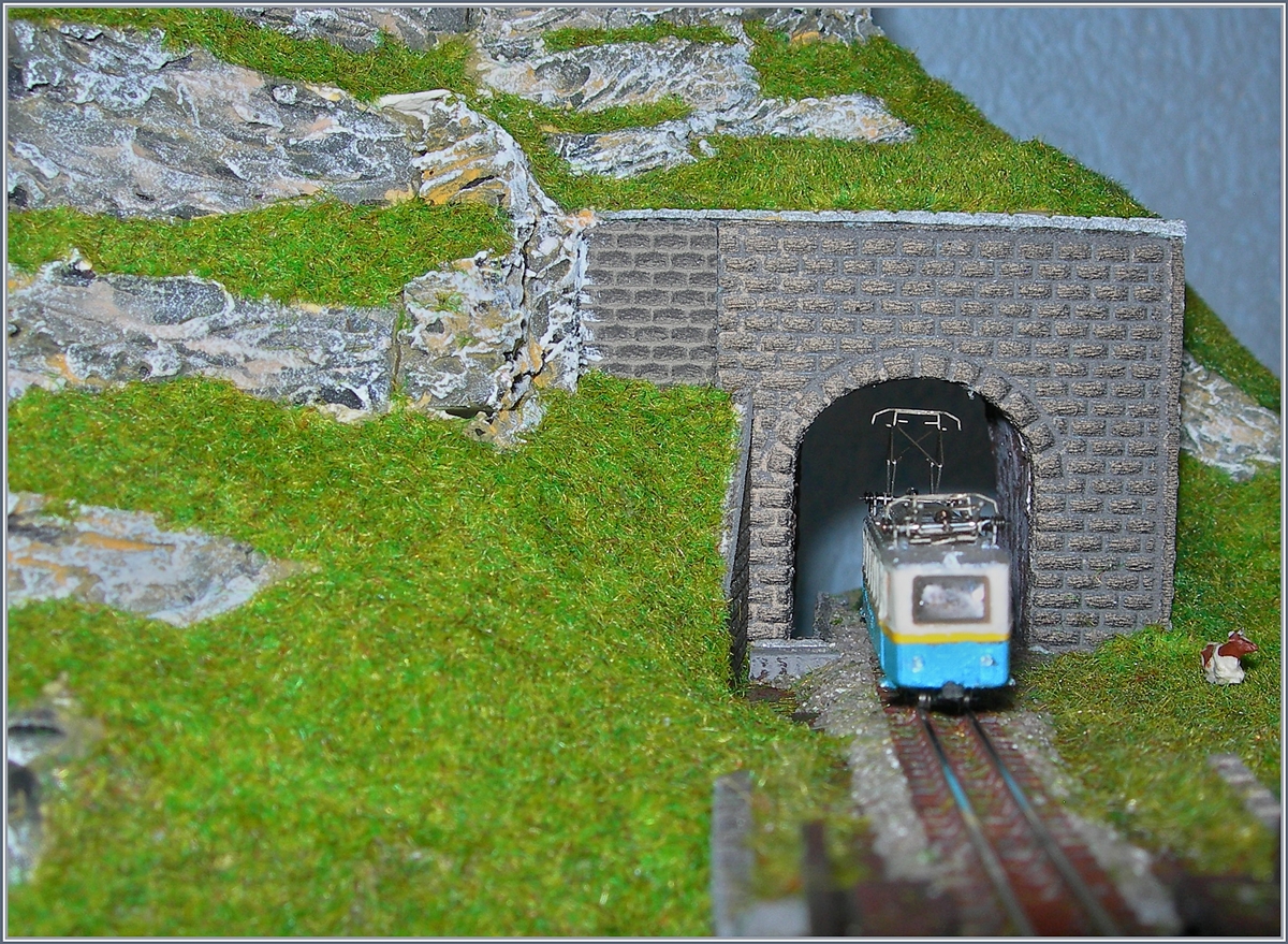 Auf schmaler Spur unterwegs: Mein Ze (Massstab 1:200 / Spurweite 3mm) Rochers de Naye Bhe 2/4 204. 

21.Nov. 2016