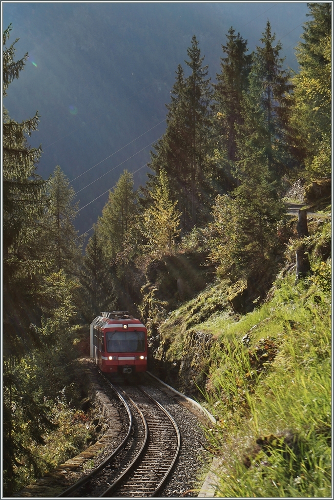 Aus dem engen Tal kommt der M-C TMR Beh 4/8 21 mit dem Ziel Martingy angefahren.
3. Okt. 2014