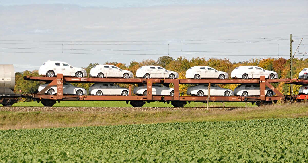 Autotransportwagen 25 RIV 80 D-A35 4 366 295-0 mit Audi-PKWs der gehobenen Klasse beladen in Hinterdenkental am 17.10.2012.