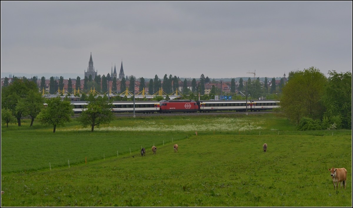 Bahn im Tägermoos - bei Sauwetter. 

Gar nicht einfach zu entscheiden, was man bei diesem Zug zeigen soll... Morgens und abends eine typische Situation: IR mit Verstärkereinheit. Da könnte die DB auch noch was lernen. Im Hintergrund die Konstanzer  Skyline , im Vordergrund zum Beweis: Schweiz. Mai 2014.