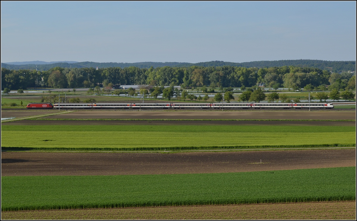 Bahn im Tägermoos - bei Sonnenschein. IR Konstanz-Biel kurz bevor sich die Strecken nach Schaffhausen und Weinfelden trennen. Der Auwald im Hintergrund markiert den Seerhein. Mai 2014.