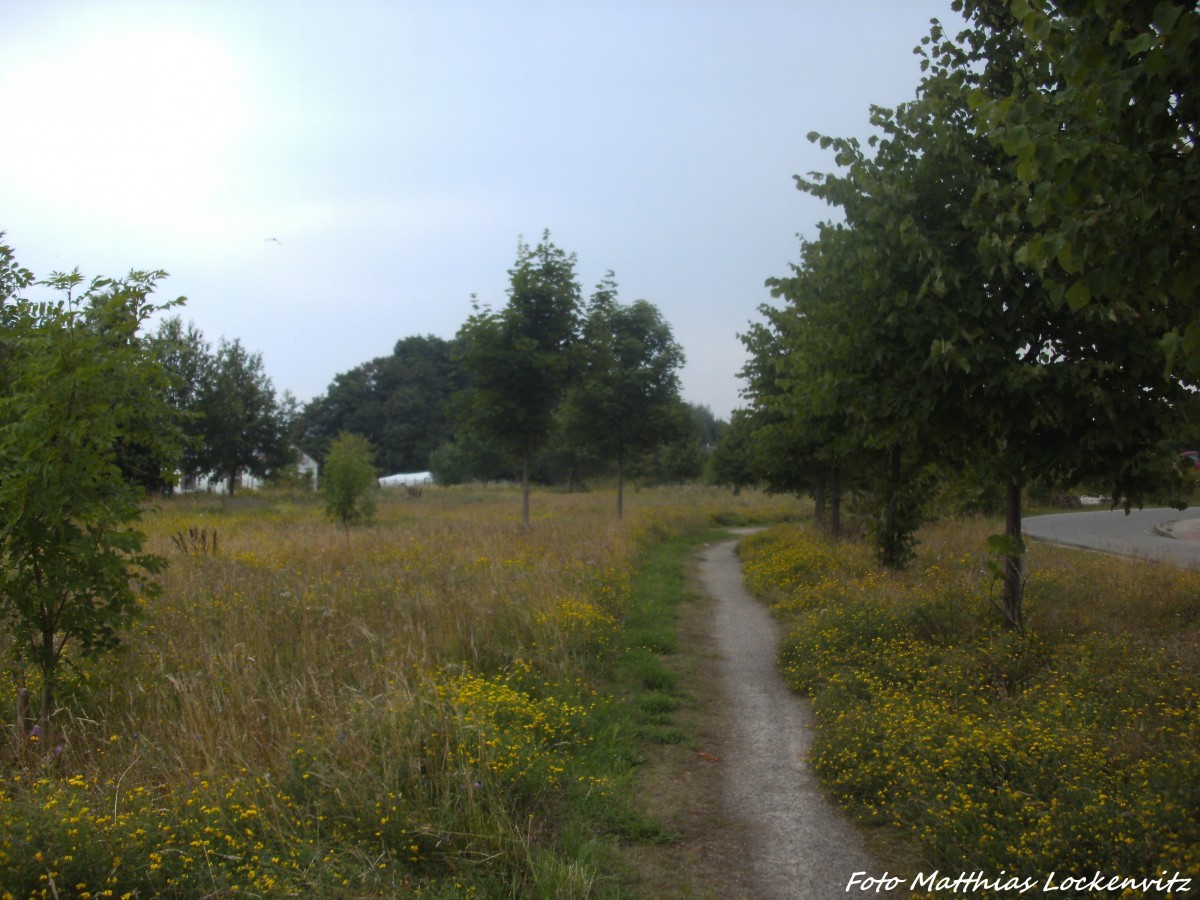 Blick auf den Ehemaligen Bahnsteig des damaligen Endbahnhofs Wolgaster F�hre am 27.7.14