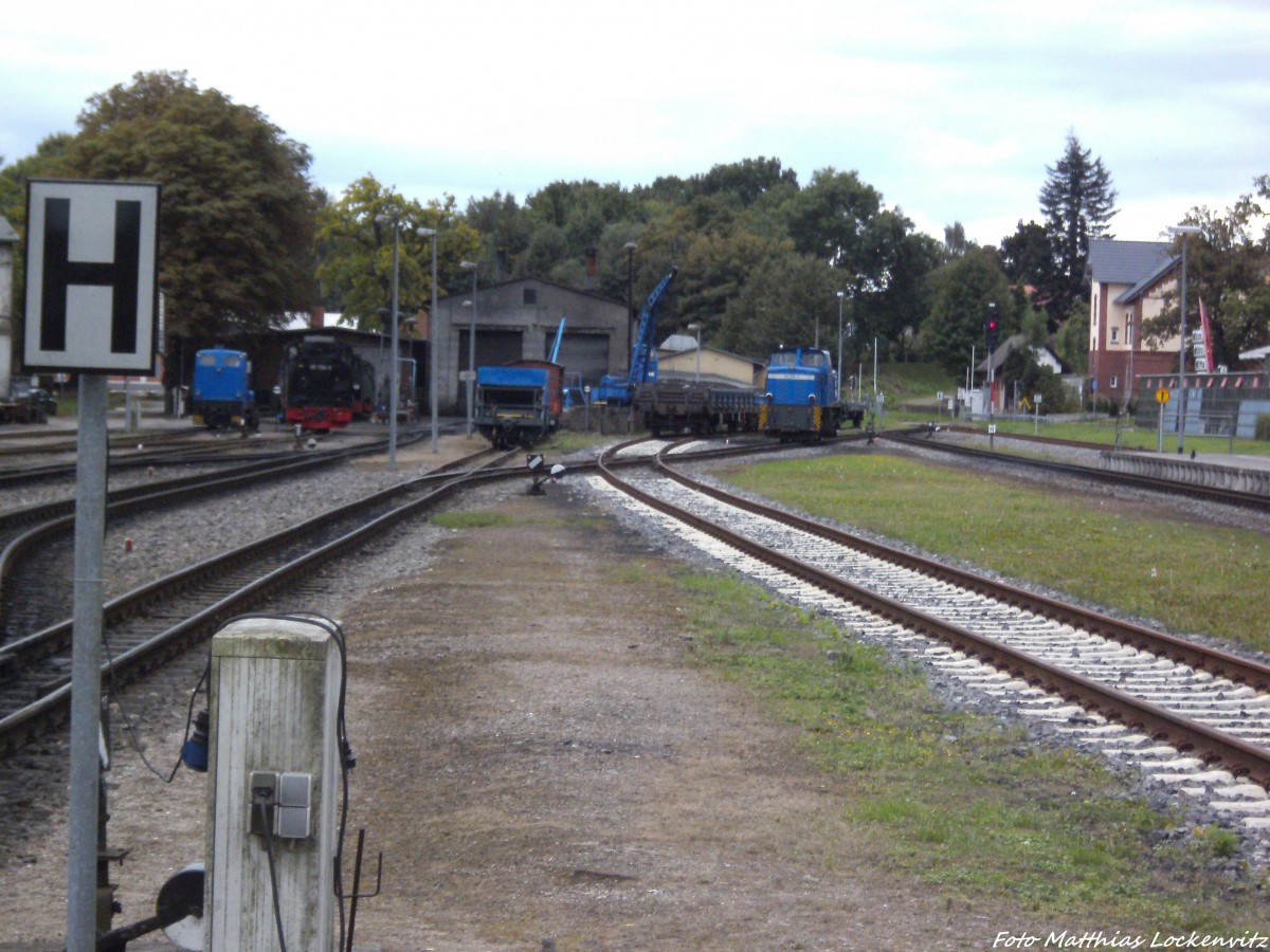 Blick auf die R�BB 251 901 am Kleinbahn BW in Putbus am 15.9.13