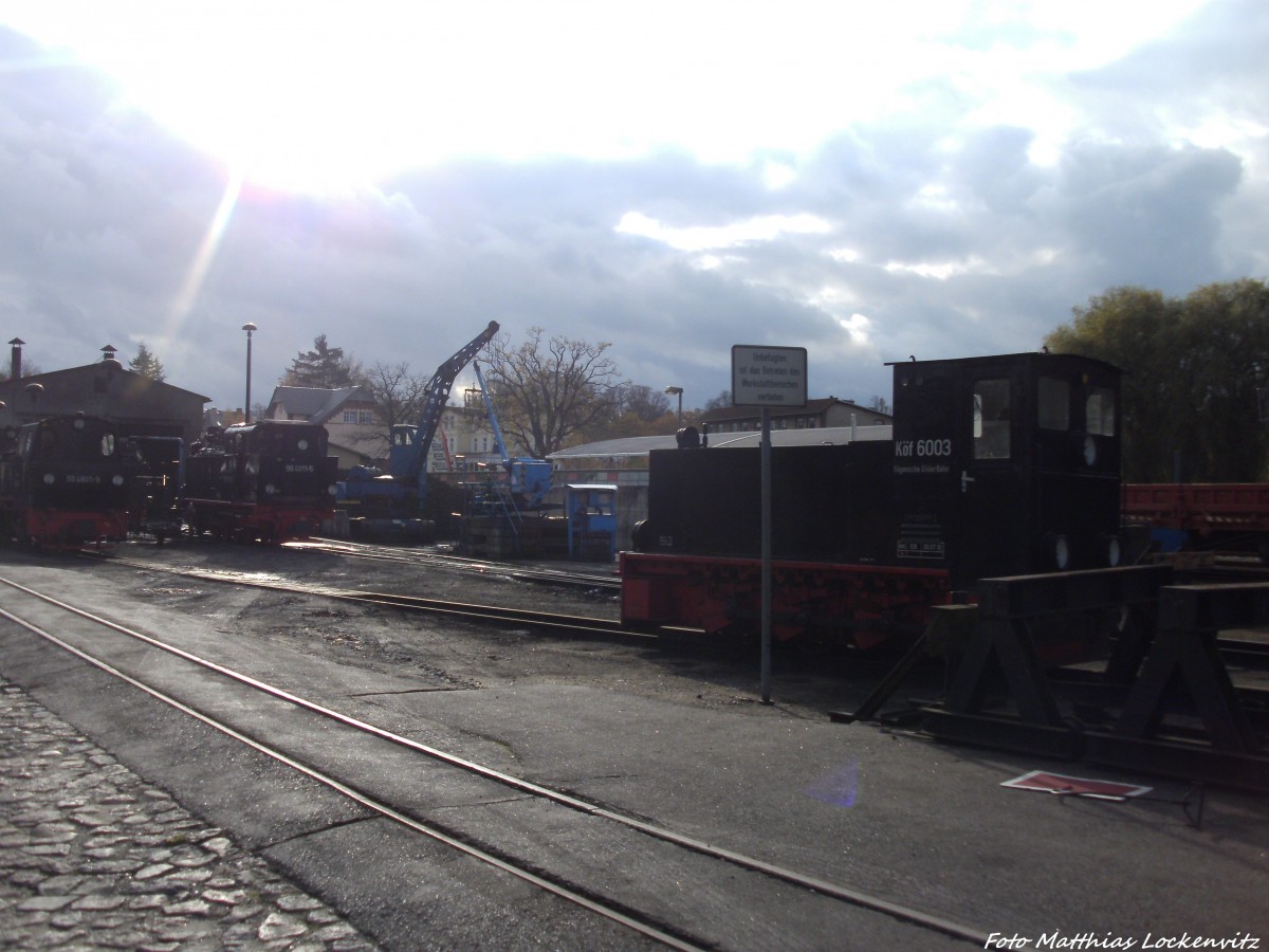 Blick auf die R�BB K�f 6003, 99 4801 & 99 4011 im Kleinbahn BW Putbus am 29.10.13