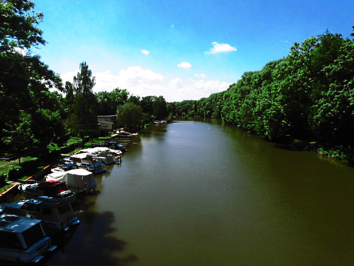 Blick auf die Saale in Halle-S�dstadt am 26.5.17