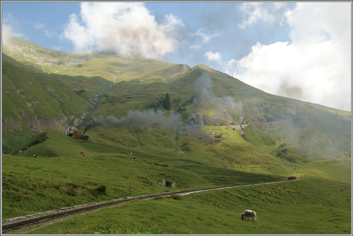 BRB Dampzüge (Kohlgefeuert) am Brienzer Rothorn.
30. Aug. 2013