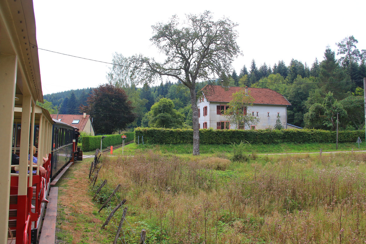 Chemin de Fer Forestier d'Abreschviller : Der obere Streckenteil ist sehr steil. Hinter der hart arbeitenden Lok der  Orient Express -Wagen. 22.7.18