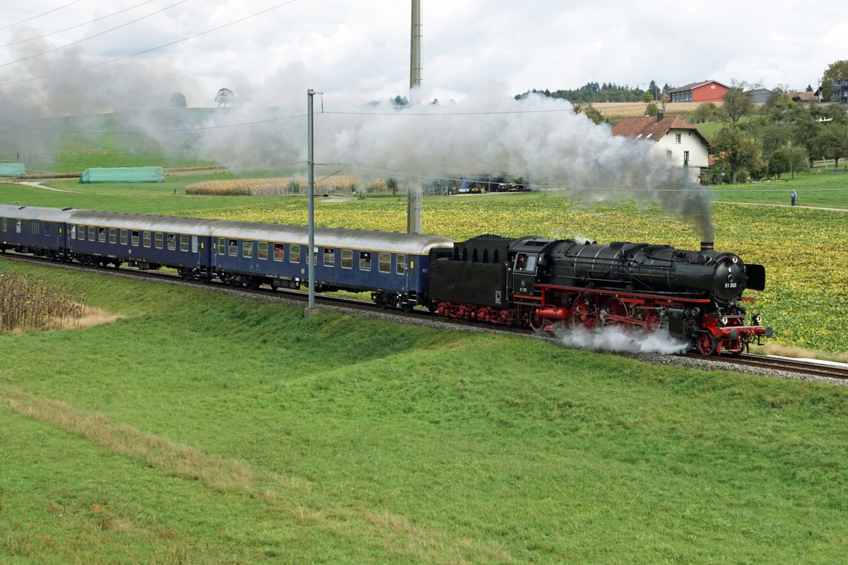 Dampflokomotive Pacific 01 202.
Kleine Dreiseenrundfahrt ab Lyss mit der unermüdlichen 01 202.
Der imposante Sonderzug mit sechs Wagen bei Kallnach am 11. Oktober 2020.
Foto: Walter Ruetsch
 