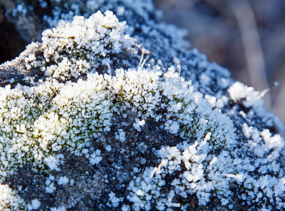 Das Moos auf einem alten Kilometerstein ist mit Raureif �berzogen, Betzdorf/Sieg am 04.12.2015.

Den ganzen Kilometerstein gibt es unter: http://hellertal.startbilder.de/bild/deutschland~bahntechnische-anlagen~sonstiges/530573/ein-alter-kilometerstein-ca-825-kann.html
