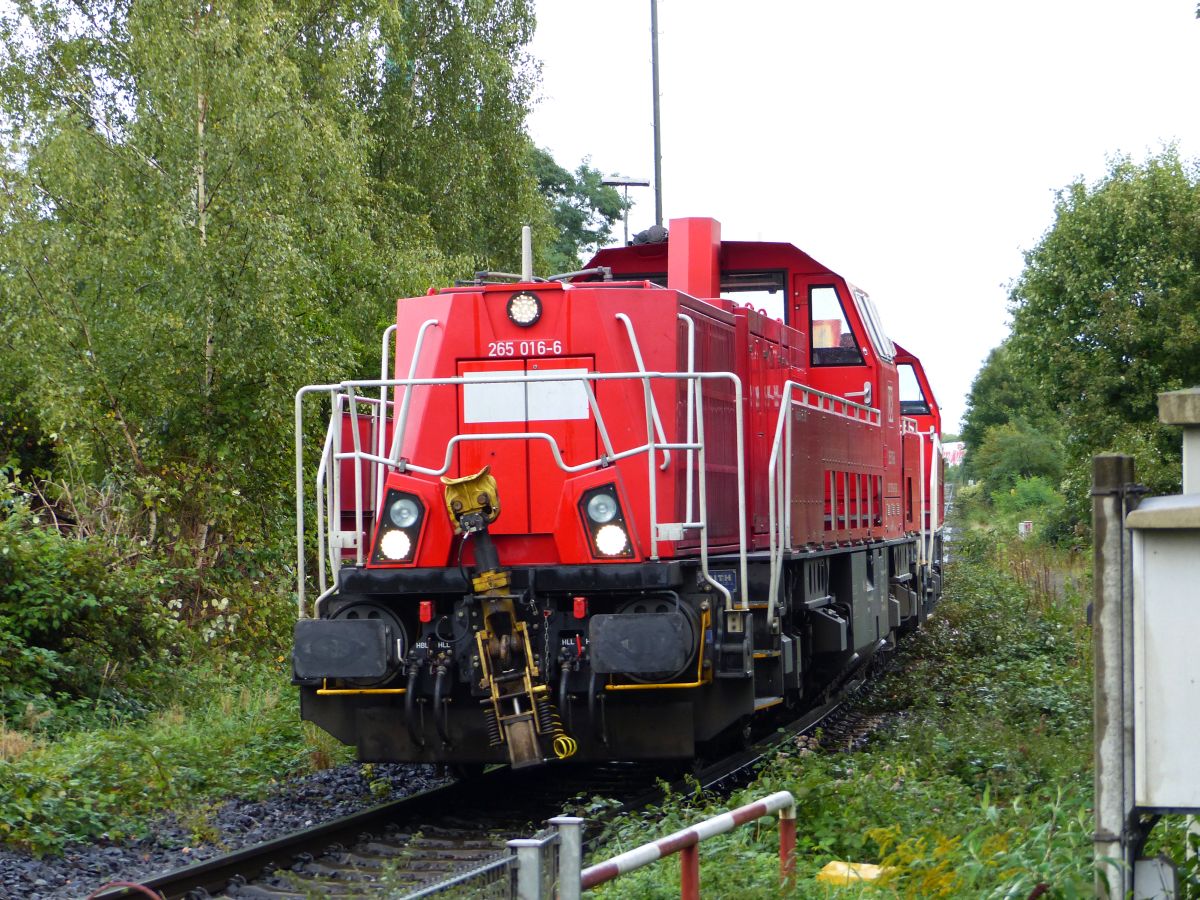 DB Cargo dieselloc 265 016-6 mit Schwesterlok Atroper Strae, Duisburg 14-09-2017.

DB Cargo dieselloc 265 016-6 met zusterloc Atroper Strae, Duisburg 14-09-2017.