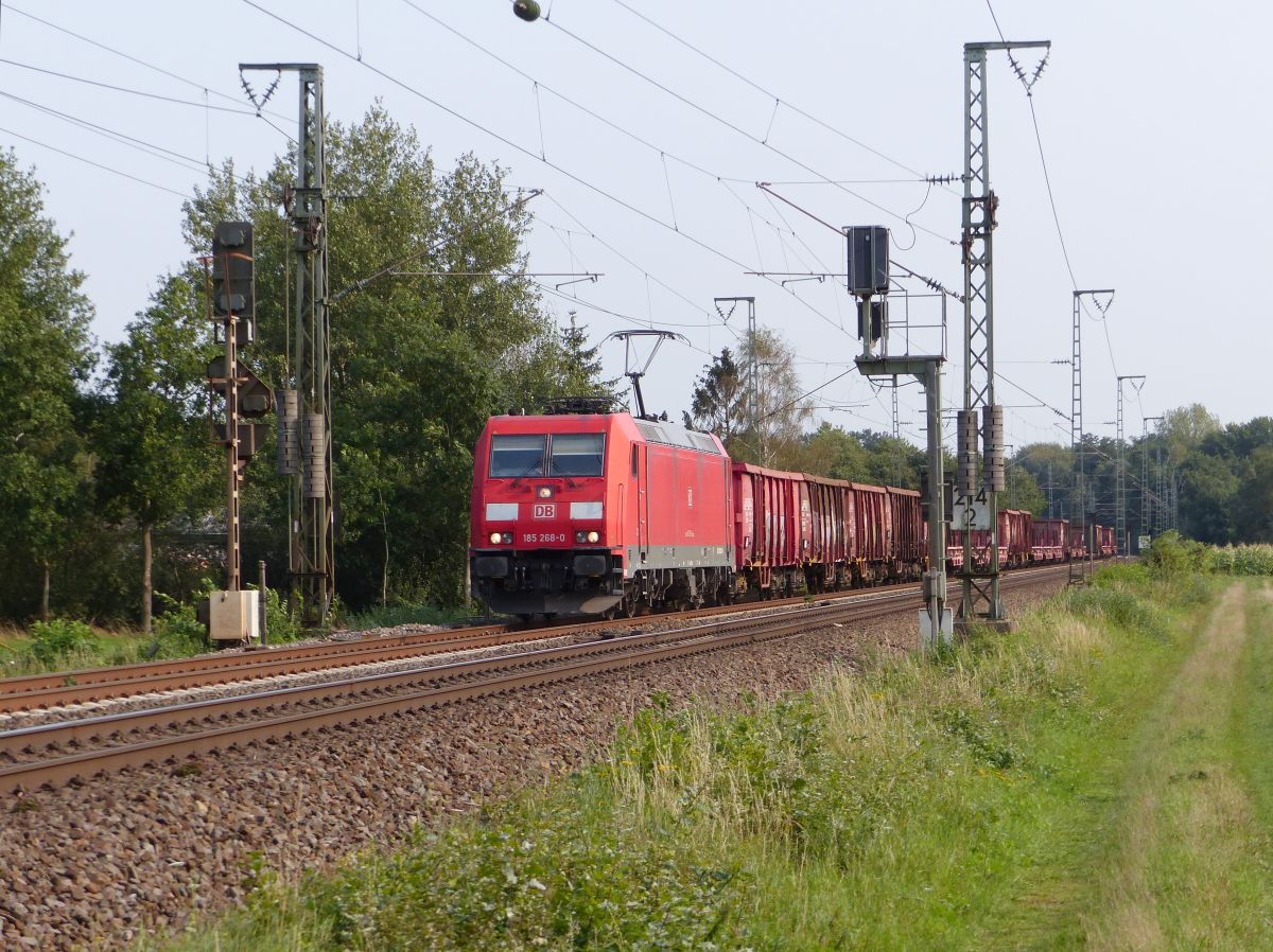 DB Cargo Lokomotive 185 268-0 Devesstrae, Salzbergen 11-09-2020.

DB Cargo locomotief 185 268-0 Devesstrae, Salzbergen 11-09-2020.