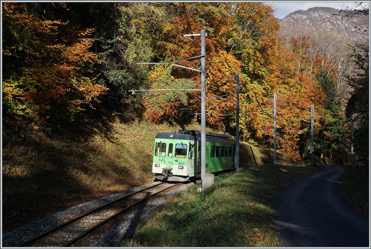 Der ASD BDe 4/4 402 ist im bunten Herbstwoald oberhalb von Aigle unterwegs. 

5. Nov. 2021