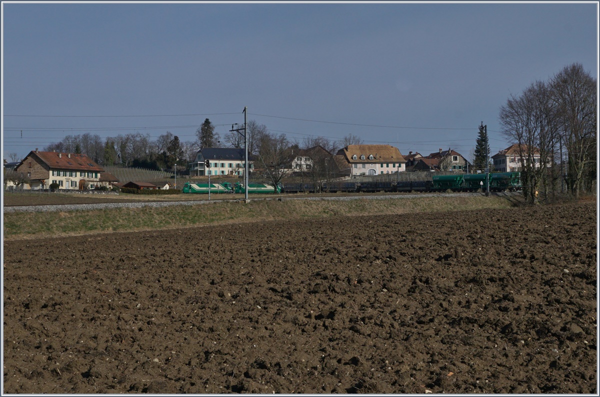 Der BAM Güterzug von Gland kommend in er Kurve bei Vufflens le Château.
3. März 2017 
