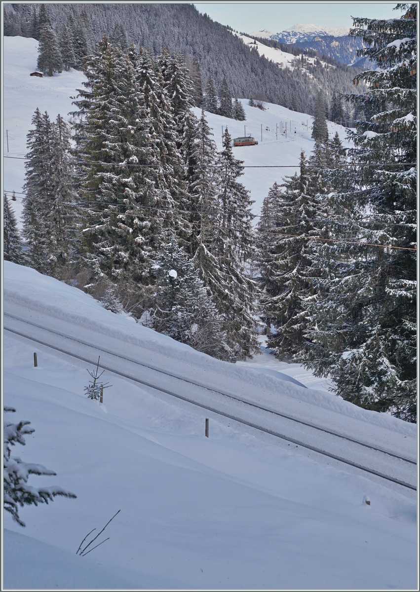 Der BLM Be 4/4 22 ist mit seinem Vorstellwagen auf dem Weg von der Grütschalp nach Mürren und wird in einigen Minuten Winteregg erreichen. 

16. Jan. 2024