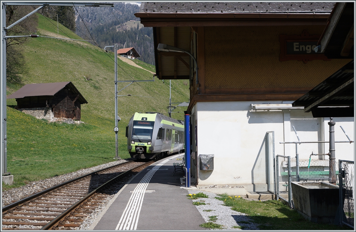 Der BLS RABe 535 113  Lötschbergerin  erreicht Enge im Simmental. 

14. April 2021