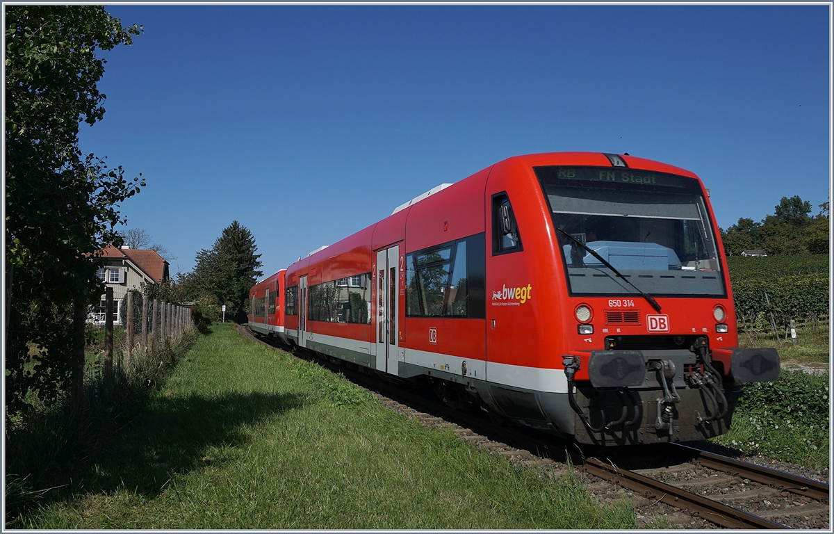 Der DB VT 650 314 und ein weiter als RB Radolfzell - Friedrichshafen bei Birnau. Die VT 650 werden nun auf dieser Strecke durch VT 622 abgelöst, zum Zeitpunkt der Aufnahme waren die ersten Züge schon im Einsatz.

19. Sept. 2019