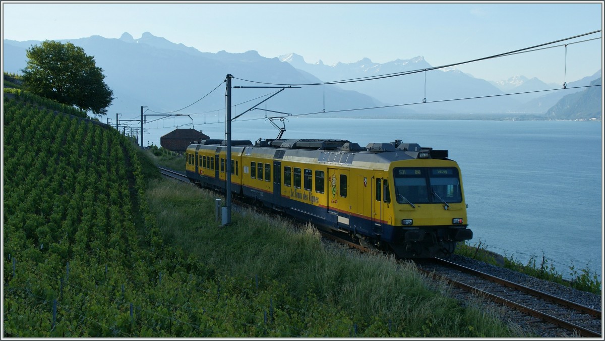 Der gelbe  Train des Vigens  bei Chexbres. 29. Mai 2011