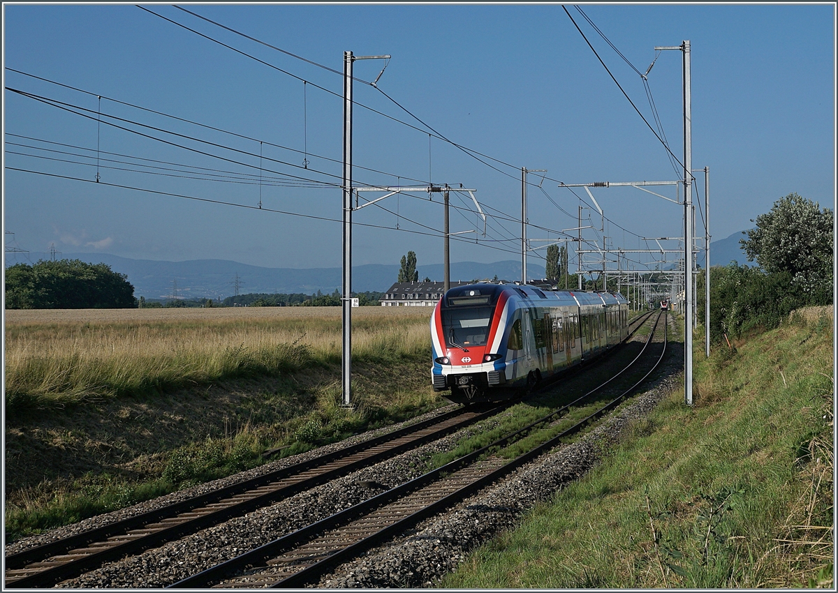 Der SBB LEx RABe 522 229 ist als SL5 bei Bourdigny auf dem Weg von Genève nach La Plaine. 
Weit im Hintergrund, wohl noch im Bahnhof von Satigny ist der Zug der Gegenrichtung wage zu erkennen.

19. Juli 2021