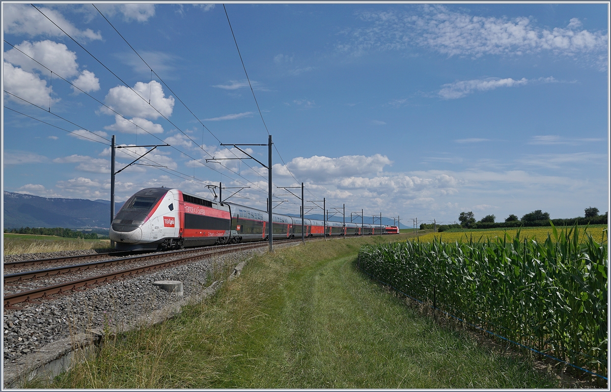 Der TGV Lyria 4721 auf dem Weg von Paris nach Lausanne kurz vor Arnex und somit schon fast am Ziel seiner Reise. 

14. Juli 2020