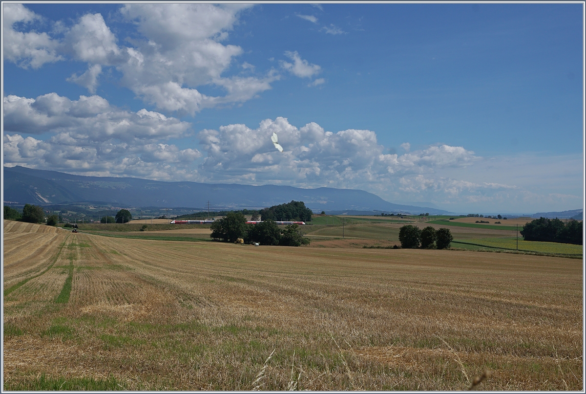 Der TGV Lyria 9261 von Paris Gare de Lyon nach Lausanne oberhalb von Arnex auf der Fahrt durch die hügligen Jurasüdfuss Landschaft. 

25. Juli 2020