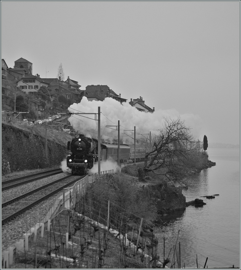 Die 01 202 dampft mit ihrem  Alpine Steam Express  eindr�cklich am Genfersee entlang. 
Bei St-Saphorin, den 19. Jan. 2014