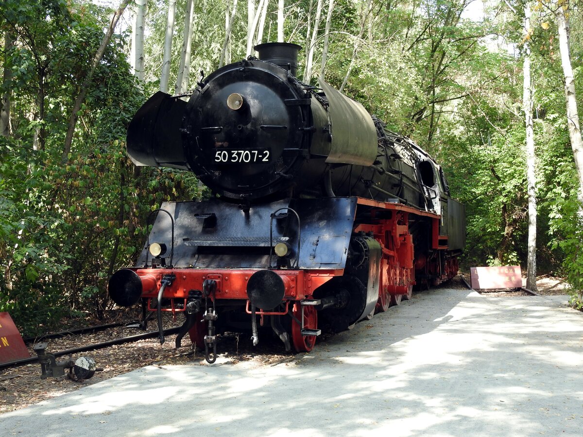 Die 50 3707-2 steht zwischen Bäumen im Naturpark Südgelände in Berlin. Das Naturschutzgebiet war der ehemalige Verschiebebahnhof Tempelhof, am 05.09.2018.
