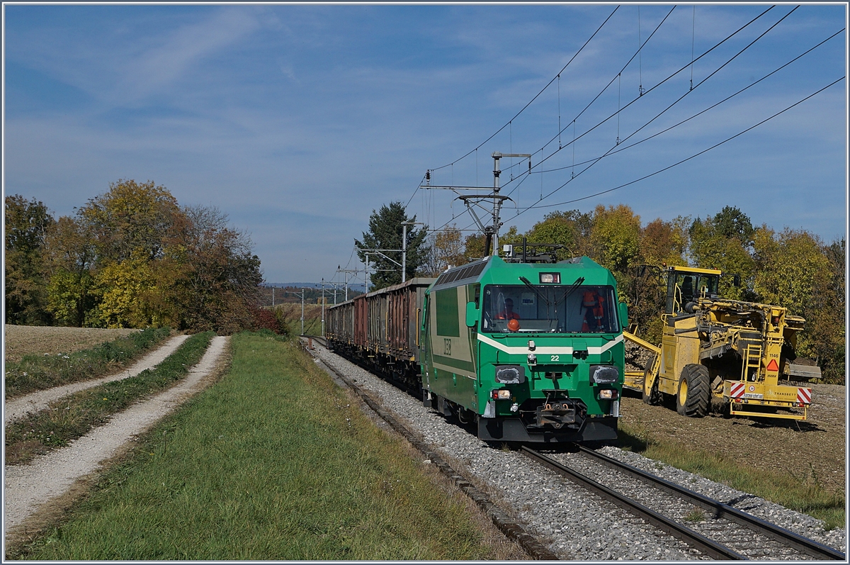 Die BAM MBC Ge 4/4 22 erreicht die Zuckerrübenverlade-Stelle auf offener Strecke bei Reverolle.
17. Okt 2017