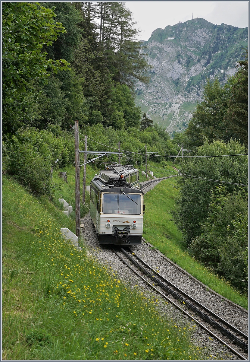 Die beiden  Rochers de Naye Beh 4/8 304 und 305 auf Bergfahrt bie Les Hauts de Caux. 

24. Juli 2020
