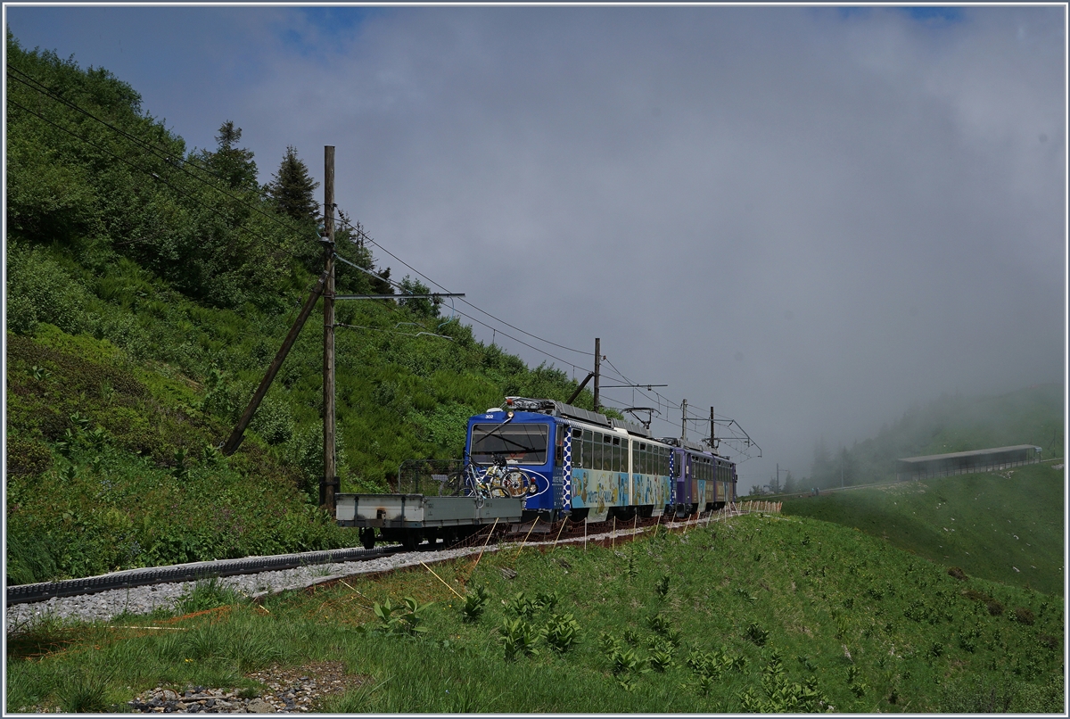 Die beinden Beh 4/8 302 und 303 auf Bergfahrt Richtung Rochers de Naye kurz nach Jaman.
3. Juli 2016