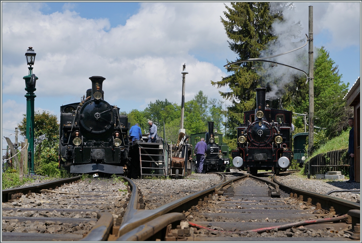 Die BFD HG 3/4 N° 3, die LEB G 3/3 N° 5 und die BAM G 3/3 N° 6 in der Lokbehandlung in Chaulin. 
15. Mai 2016