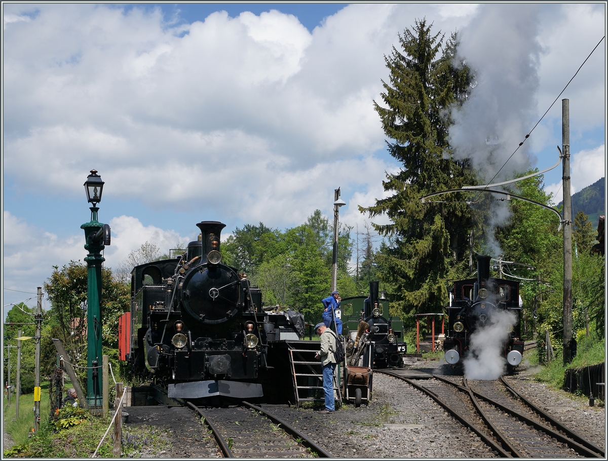 Die BFD HG 3/4 N° 3 und im Hintergrund die G 3/3 N° 5 der Blonay Cahmby Bahn in Chaulin. 

15.05.2016