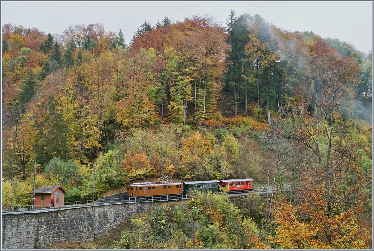 Die Blonay Cahmby Bernina Bahn Ge 4/4 81 ist mit einem kurzen Personenzug bei  Vers-chez-Robert  auf dem Weg nach Blonay. 

28. Okt. 2018