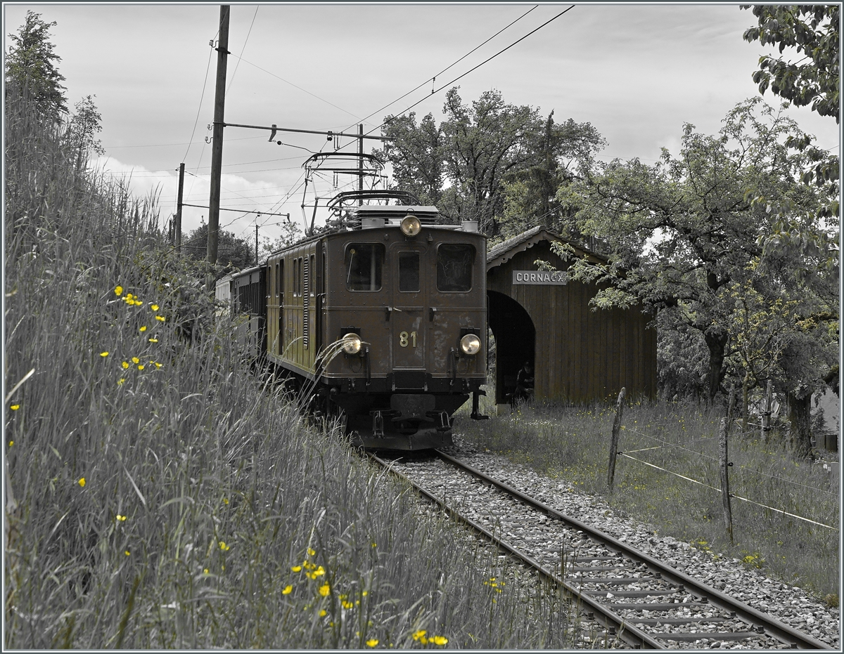 Die Blonay-Chamby Bernina Bahn Ge 4/4 81 auf dem Weg nach Blonay bei Cornaux.

22. Mai 2021