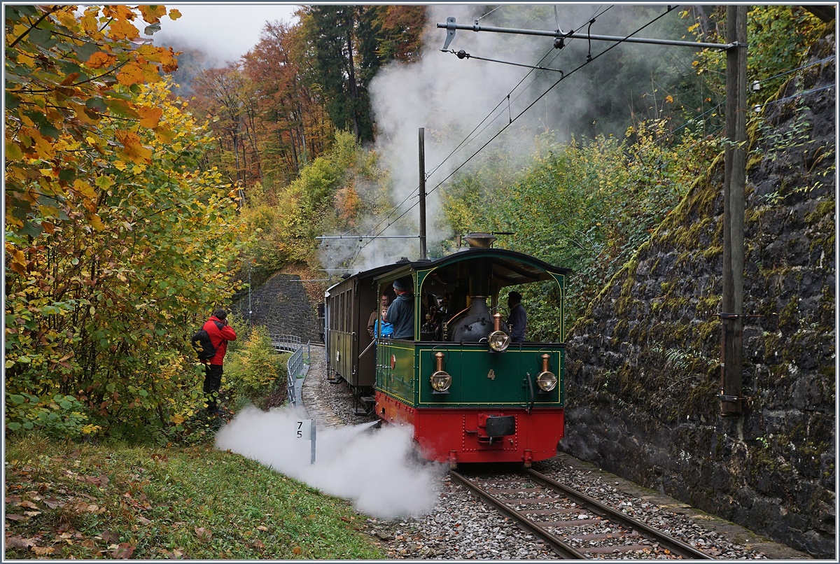 Die Blonay-Chamby G  2/2  Rimini  und eine weitere Dampflok damfen durch die Baye de Clarens Schlucht in Richtung Blonay. 

28. Okt. 2018