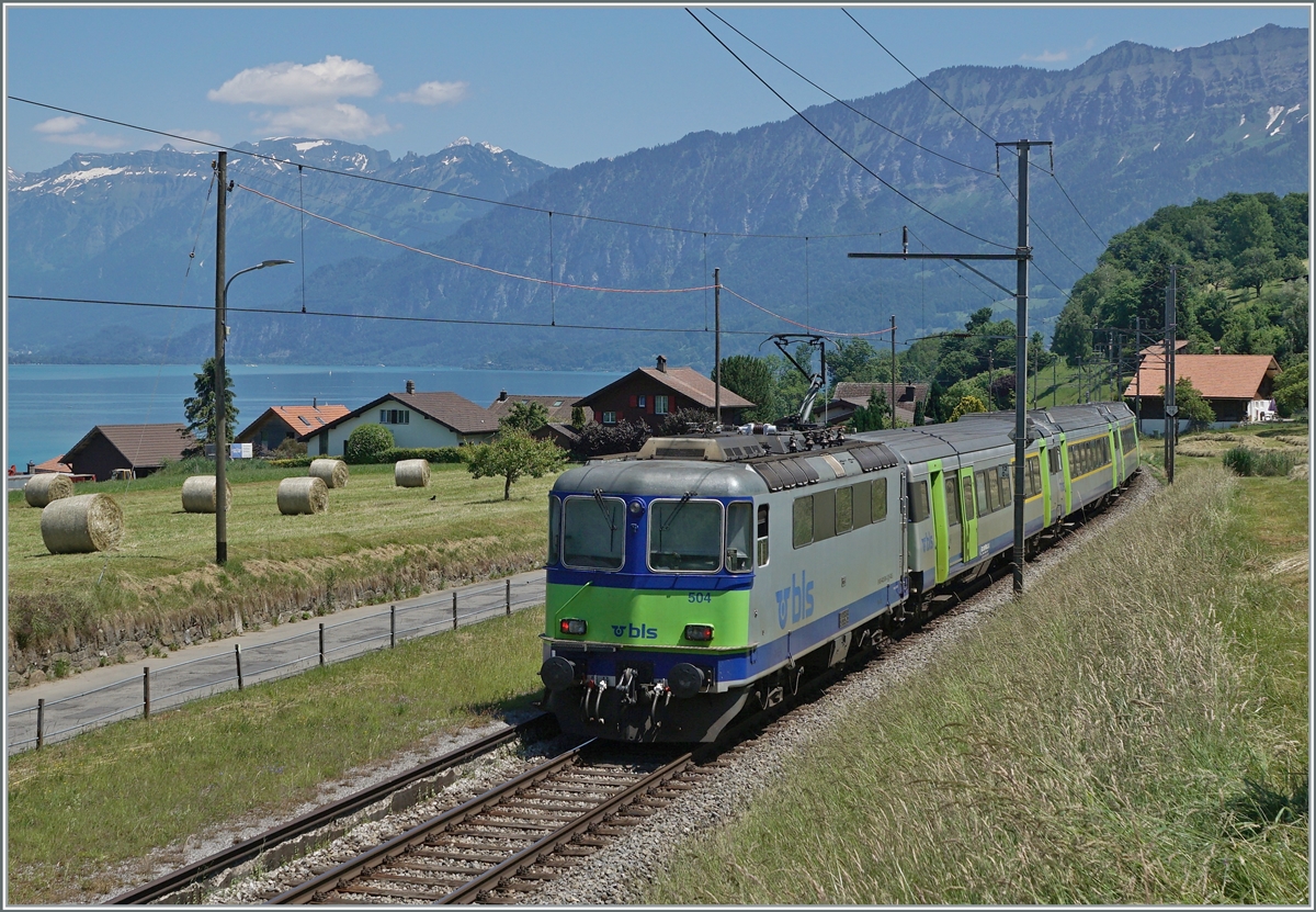 Die BLS Re 4/4 II 504 ist bei Faulensee mit eine EW III RE auf dem Weg nach Interlaken. 

14.06.2021