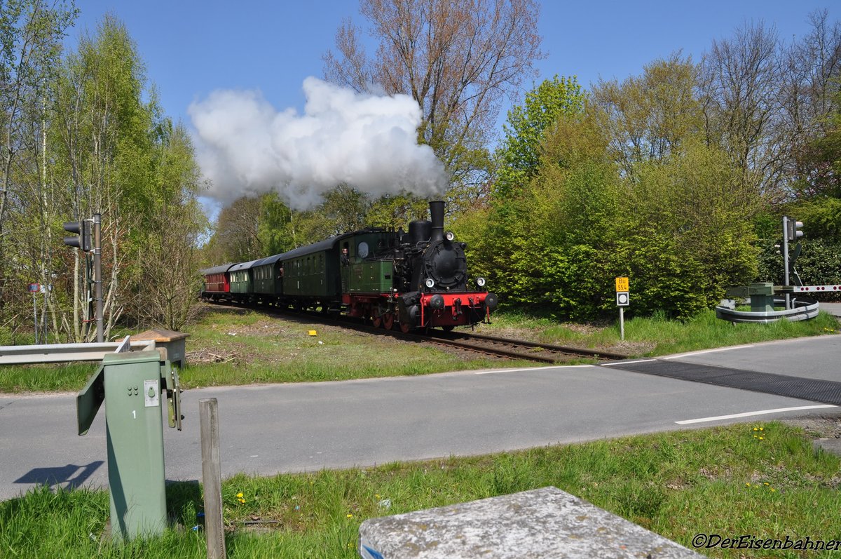 Die Dampflok  Niedersachsen  fährt in Essen(Oldb) ein am (01.05.2016)