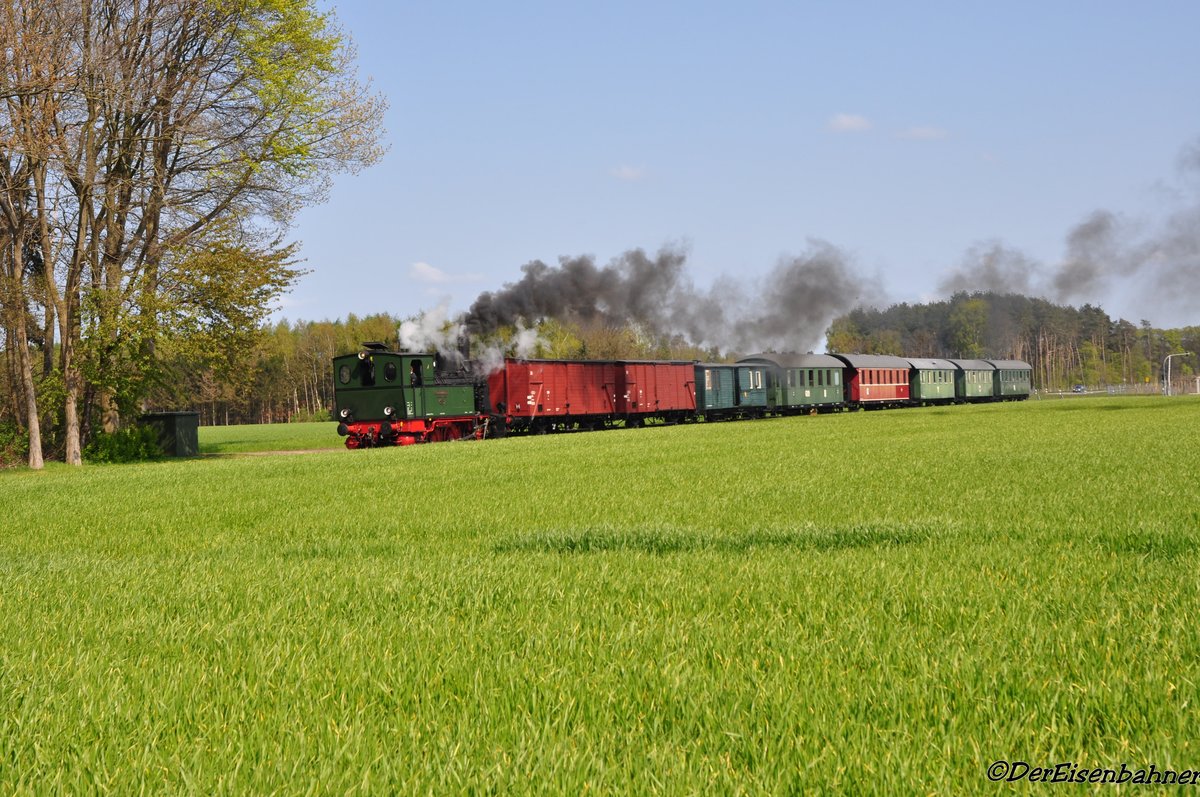 Die Dampflok  Niedersachsen  hinter Essen (Oldb) richtung Löningen am (01.05.2016)