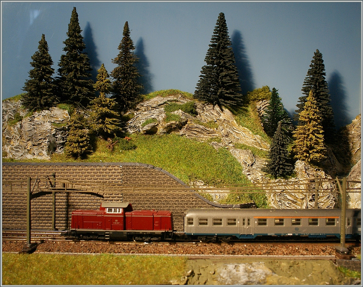 Die DB V 210 mit einem Regionalzug auf meiner Z-Anlage. 

11. Juni 2011 