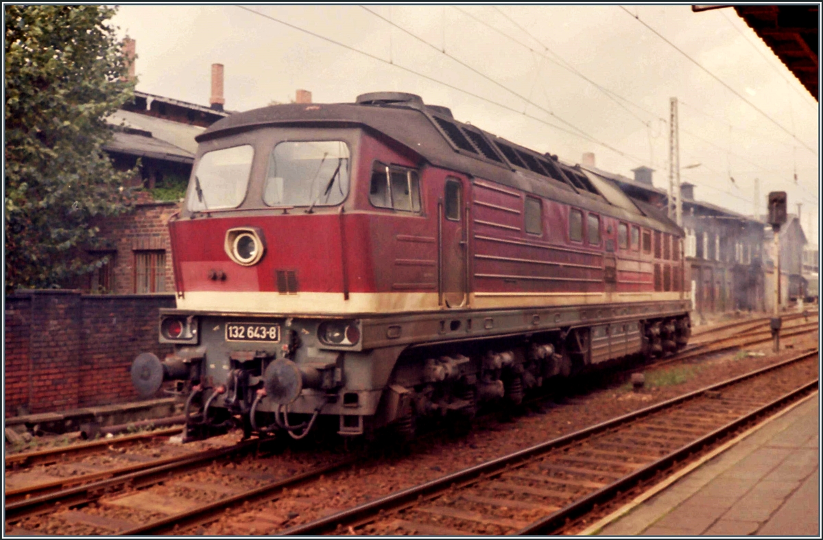 Die DR 132 643-8 rangiert in Schwerin (sie wird einen D-Zug übernehmen. 

Analogbild vom Sept. 1990