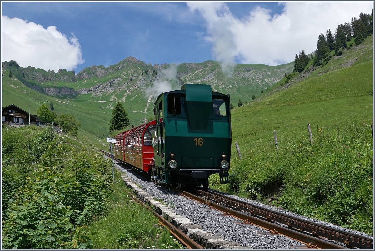 Die H 2/3 16 mit einem gut besetzen Zug bei Planalp.
7. Juli 2016