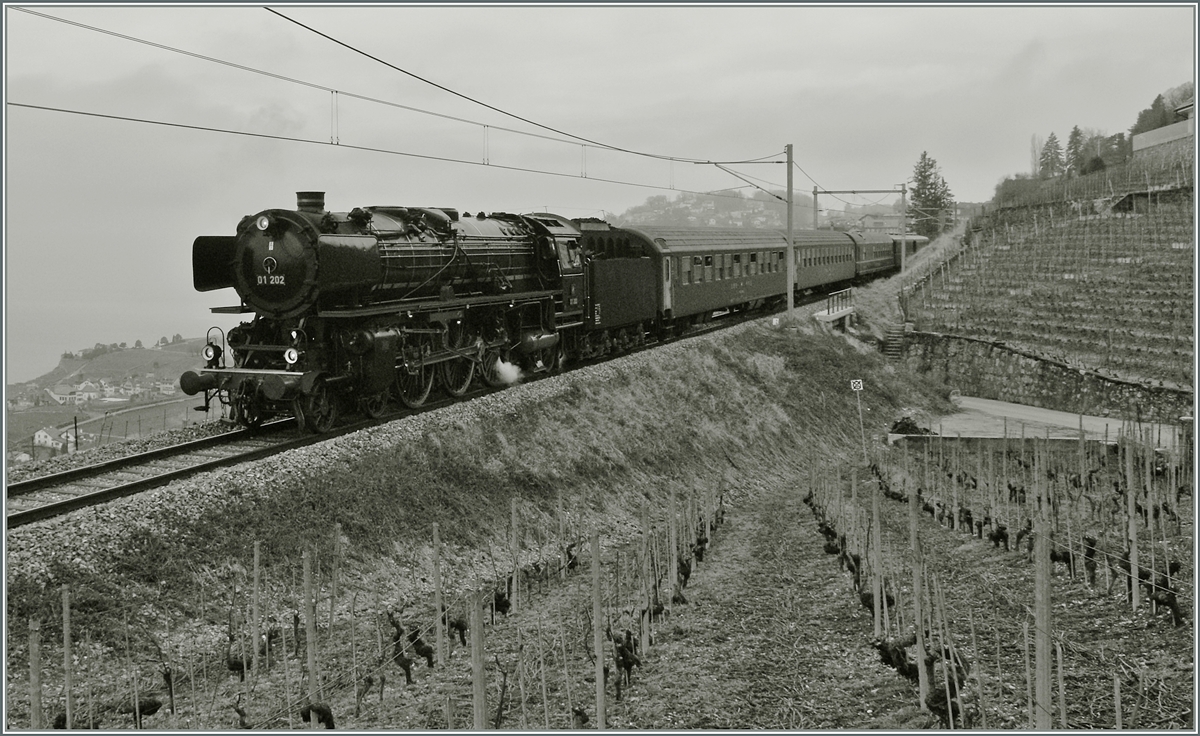 Die herrliche 01 202 im Lavaux, kurz nach Chexbres auf der Fahr Richtung Vevey. 
18. Jan. 2014