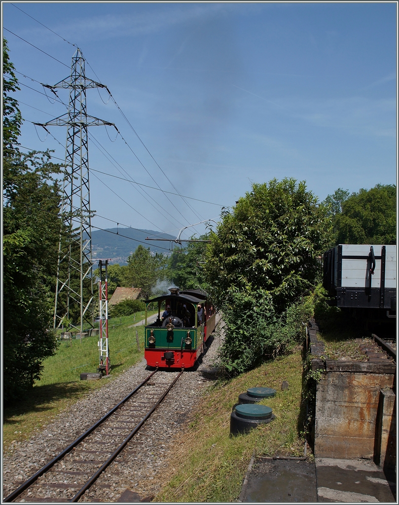 Die kleine Blonay-Chamby Tramway-Lok erreicht mit einem Wagen Chaulin.
9. Juni 2014