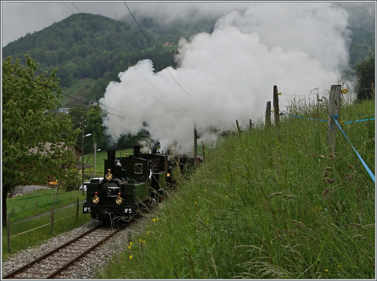 Die LEB G 3/3 N° 5 führt eine Dampfzg mit vier Loks und einigen Wagen an.
Bei Chaulin, den 14. Mai 2016 