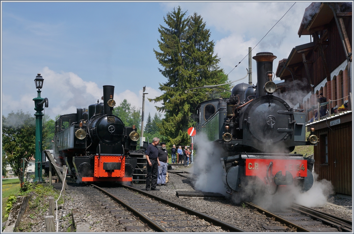 Die Mallet SEG G 2x 2/2 105 und die CP E 164 (von La Traction) in Chaulin.
19. Mai 2018