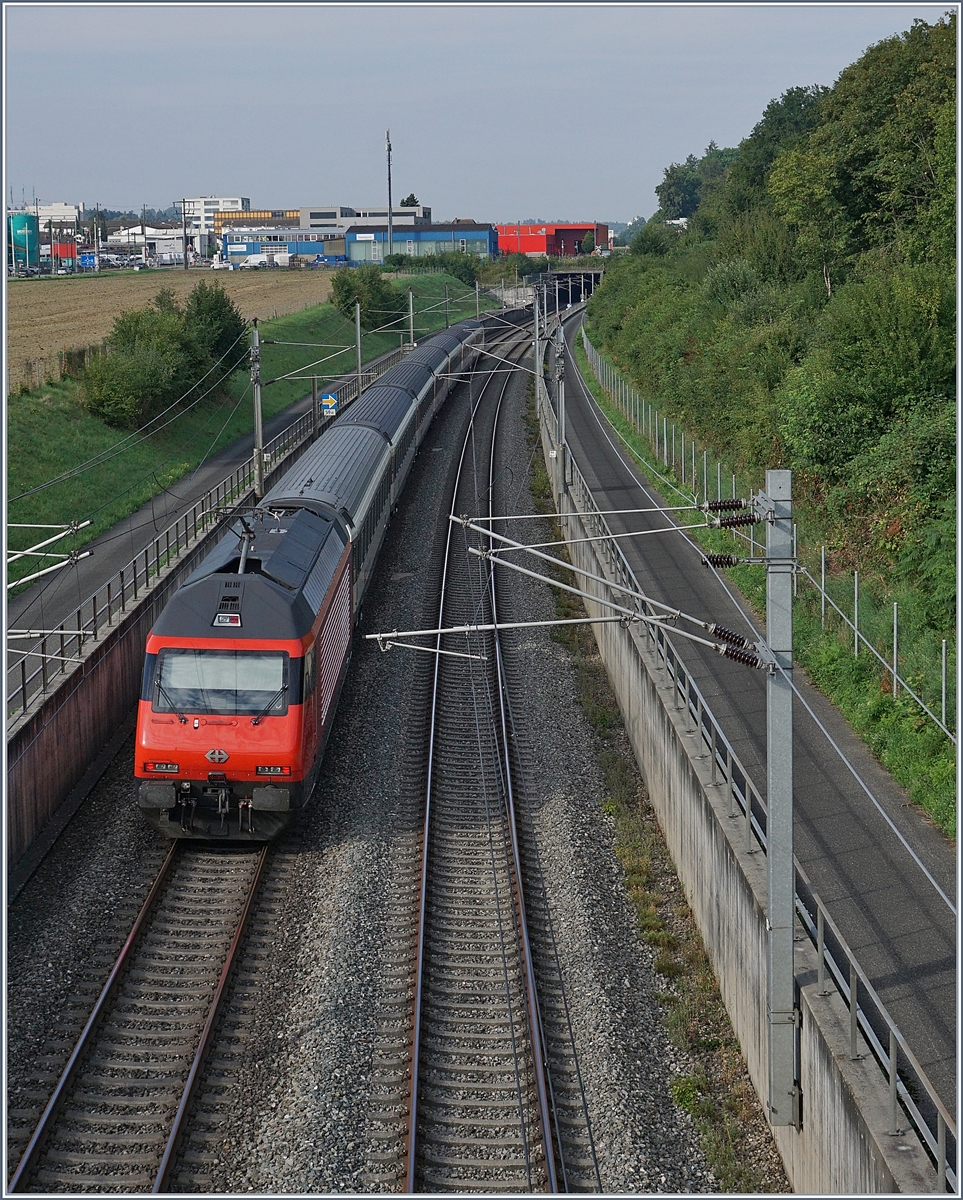 Die NBS (Schnellfahrtstrecke Mattstetten - Rothrist)  bei Langental mit von Re 460 geführen schnell durchfahrenden Zügen. 

10. Aug. 2020