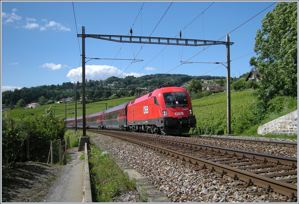 Die ÖBB 1116 204-7 mit eienr kurzen RJ Garnitur (und einer weiteren 1116) nach Probefahrten in Lausanne auf dem Weg nach Bern. 
Bei Bossière, den 7. Juli 2008 
